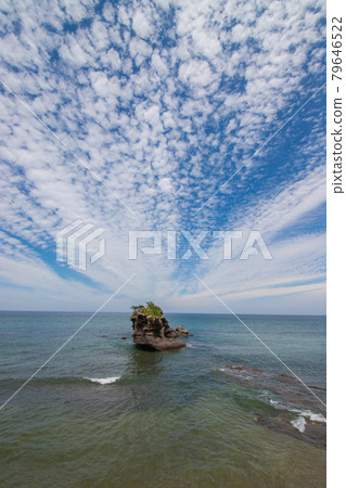海石和小鳥居 海石和小鳥居 79646522