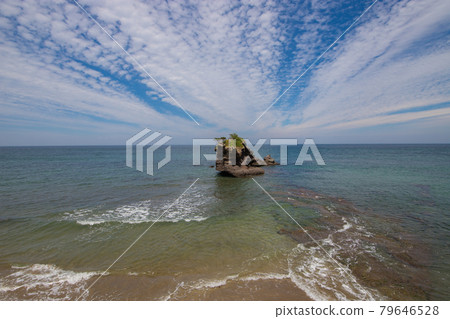海石和小鳥居 海石和小鳥居 79646528