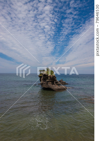 海石和小鳥居 海石和小鳥居 79646530