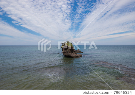 海石和小鳥居 海石和小鳥居 79646534
