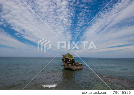 海石和小鳥居 海石和小鳥居 79646536