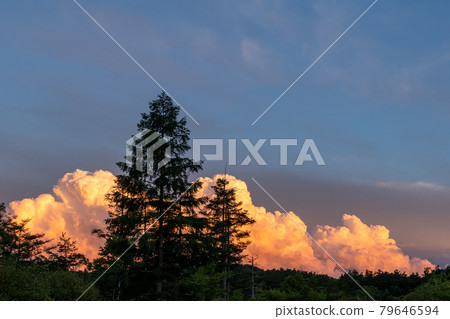 Evening scenery of the plateau Evening scenery of the plateau 79646594