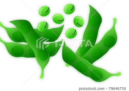 Edamame Edamame 79646758