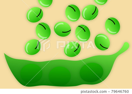 Edamame 79646760