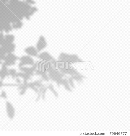 Realistic Vector transparent overlay blured shadow of branch leaves. 79646777