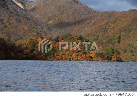 Autumn leaves on Haccho Dejima in Lake Chuzenji in Nikko 79647106