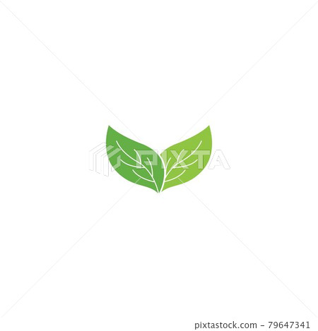 Green leaf logo Green leaf logo 79647341