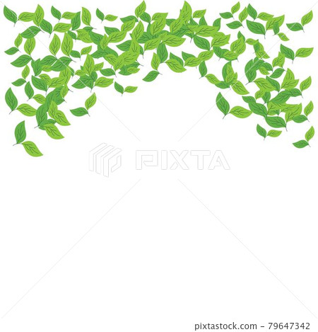 leaves background leaves background 79647342