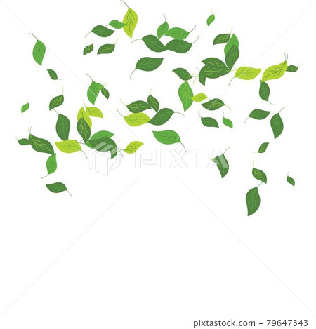leaves background 79647343