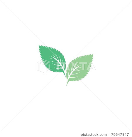 Mint leaf logo 79647547