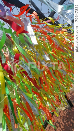 坡州和平公園裡寫滿願望的緞帶牆 79647822
