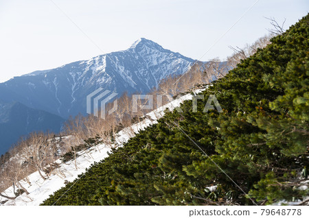 Mt. Kita seen from Mt. Senjogatake Mt. Kita seen from Mt. Senjogatake 79648778
