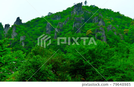 奇石奇峰景區,野馬溪生機勃勃 奇石奇峰景區,野馬溪生機勃勃 79648985