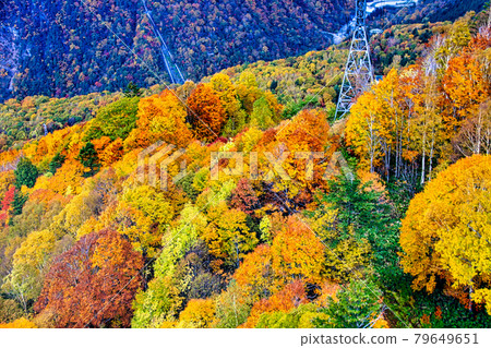 Shinho Hironaki 79649651