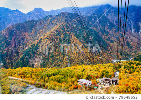 Shinho Hironaki Shinho Hironaki 79649652