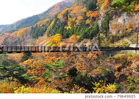 Kinugawa Onsen Kinugawa Otsuribashi and the mountains of autumn leaves 79649885