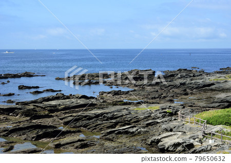 潮上海灘 天神島 天神島海邊教育設施 79650632