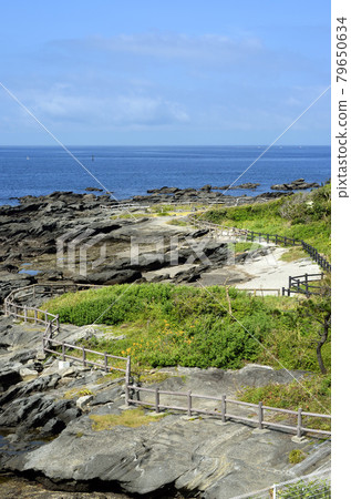 天神島海濱教育設施天神島岩石海岸 天神島海濱教育設施天神島岩石海岸 79650634