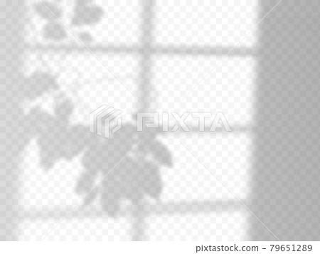 Modern shadow overlay, great design for any purposes. Blurred soft shadow from the window and 79651289