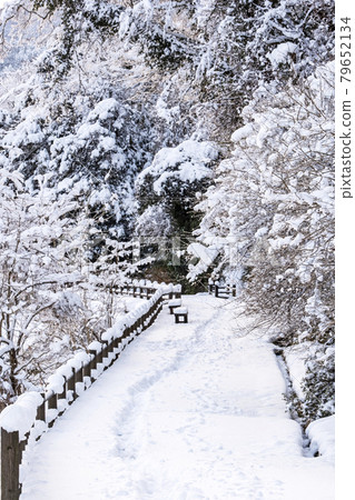 三朝溫泉雪景 三朝溫泉雪景 79652134