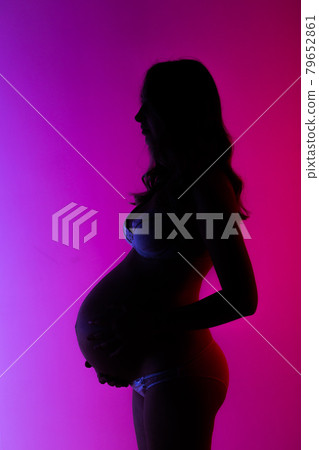 Sexy Pregnant Woman Lingerie Stylish Sexy Stock Photo 247412851