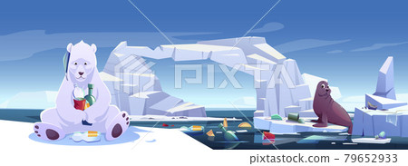 Arctic animals in trash, wild polar bear and seal 79652933