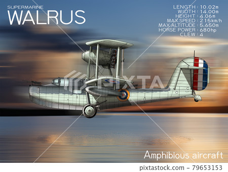 Walrus amphibious aircraft 79653153