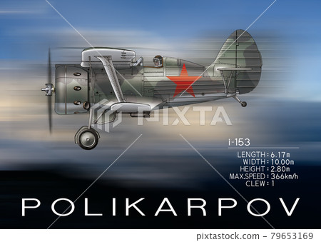Polykaripov fighter 79653169