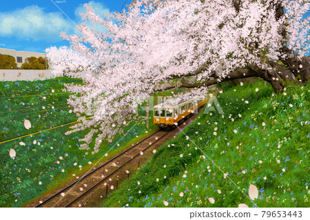 櫻花列車(琴電琴平線)香川縣綾川町 櫻花列車(琴電琴平線)香川縣綾川町 79653443
