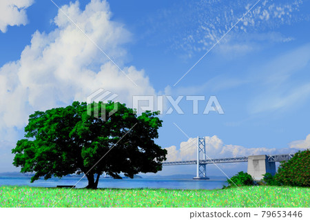 View from Seto Ohashi Shamijima (Sakaide City, Kagawa Prefecture) 79653446