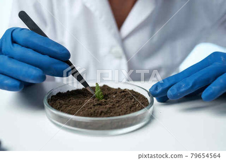 female laboratory assistant biologist soil research biotechnology female laboratory assistant biologist soil research biotechnology 79654564