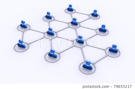 The network The network 79655217