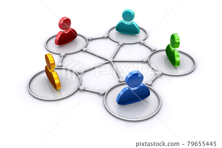 The network The network 79655445