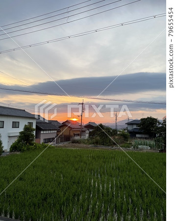 農村 農村 79655454