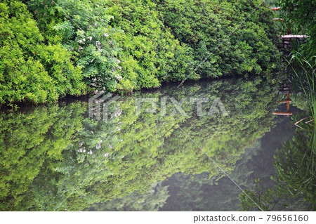 美麗的道路，小路，小路 79656160