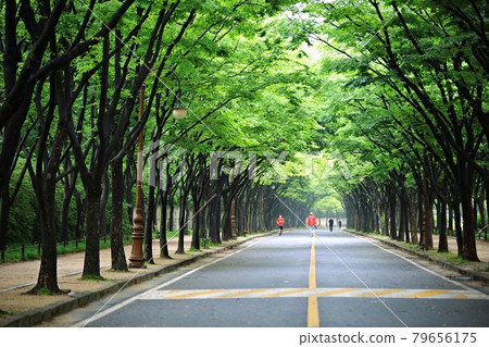 美麗的道路，小路，小路 79656175