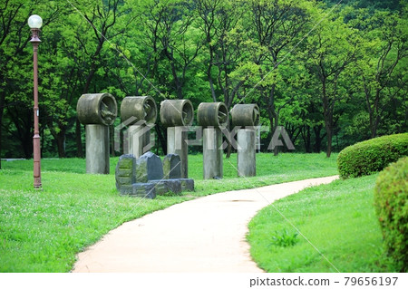 Beautiful road, path, walking trail 79656197
