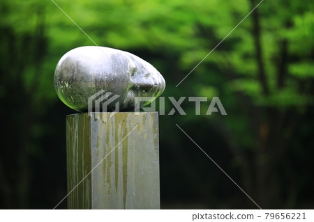 Beautiful road, path, walking trail 79656221