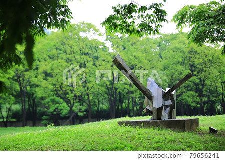 美麗的道路，小路，小路 79656241