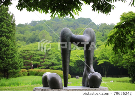 Beautiful road, path, walking trail 79656242