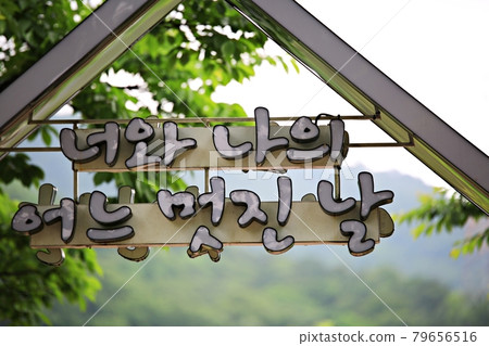 韓國美麗的道路、小徑和步道 79656516