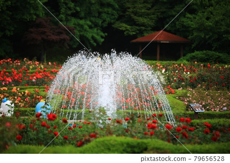 Beautiful roads, paths, and hiking trails in Korea 79656528