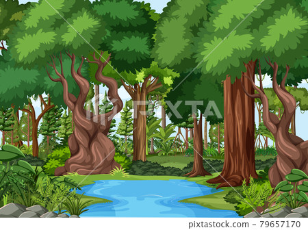 Forest scene with pond and many trees 79657170