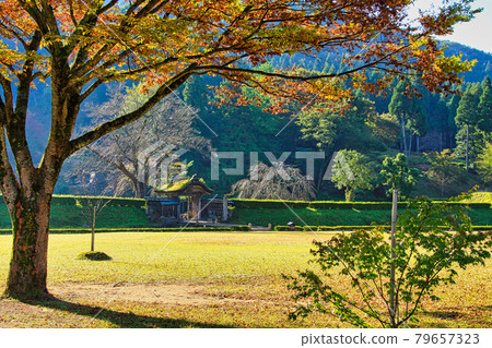 Ichijodani Asakura Ruins-Autumn 79657323