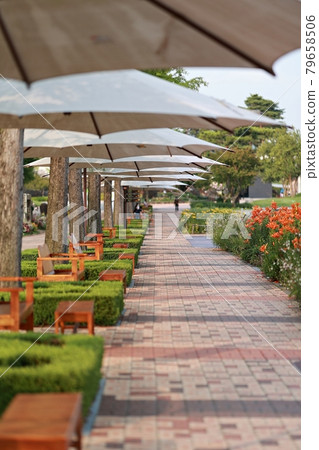 Hydrangea-filled path and garden 79658506