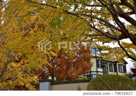 Autumn Yokohama Yamate Western Pavilion / Home of a Diplomat Autumn Yokohama Yamate Western Pavilion / Home of a Diplomat 79658927