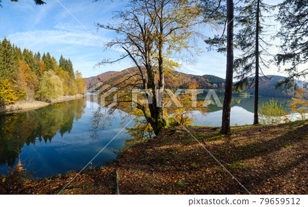 Forest meadow on shore of picturesque lake. Vilshany water reservoir on the Tereblya river, Transcarpathia, Ukraine. Beautiful autumn day in Carpathian Mountains. Forest meadow on shore of picturesque lake. Vilshany water reservoir on the Tereblya river, Transcarpathia, Ukraine. Beautiful autumn day in Carpathian Mountains. 79659512