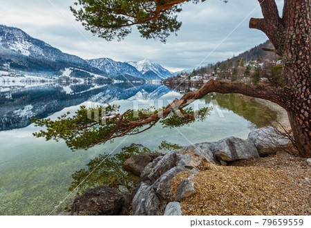 Cloudy winter Alpine lake Grundlsee view (Austria) with big pine tree and fantastic pattern-reflection on the water surface and pine tree on shore. Cloudy winter Alpine lake Grundlsee view (Austria) with big pine tree and fantastic pattern-reflection on the water surface and pine tree on shore. 79659559