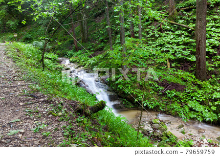 Promenade to Sugatami Fudotaki in Achi Village, Nagano Prefecture Promenade to Sugatami Fudotaki in Achi Village, Nagano Prefecture 79659759