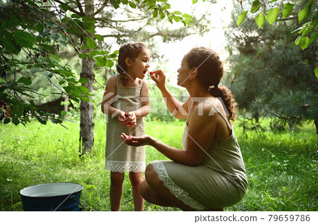 Adorable mother feeds her daughter with plucked cherries in the garden. Mom and daughter dress the same when picking cherries in summer 79659786